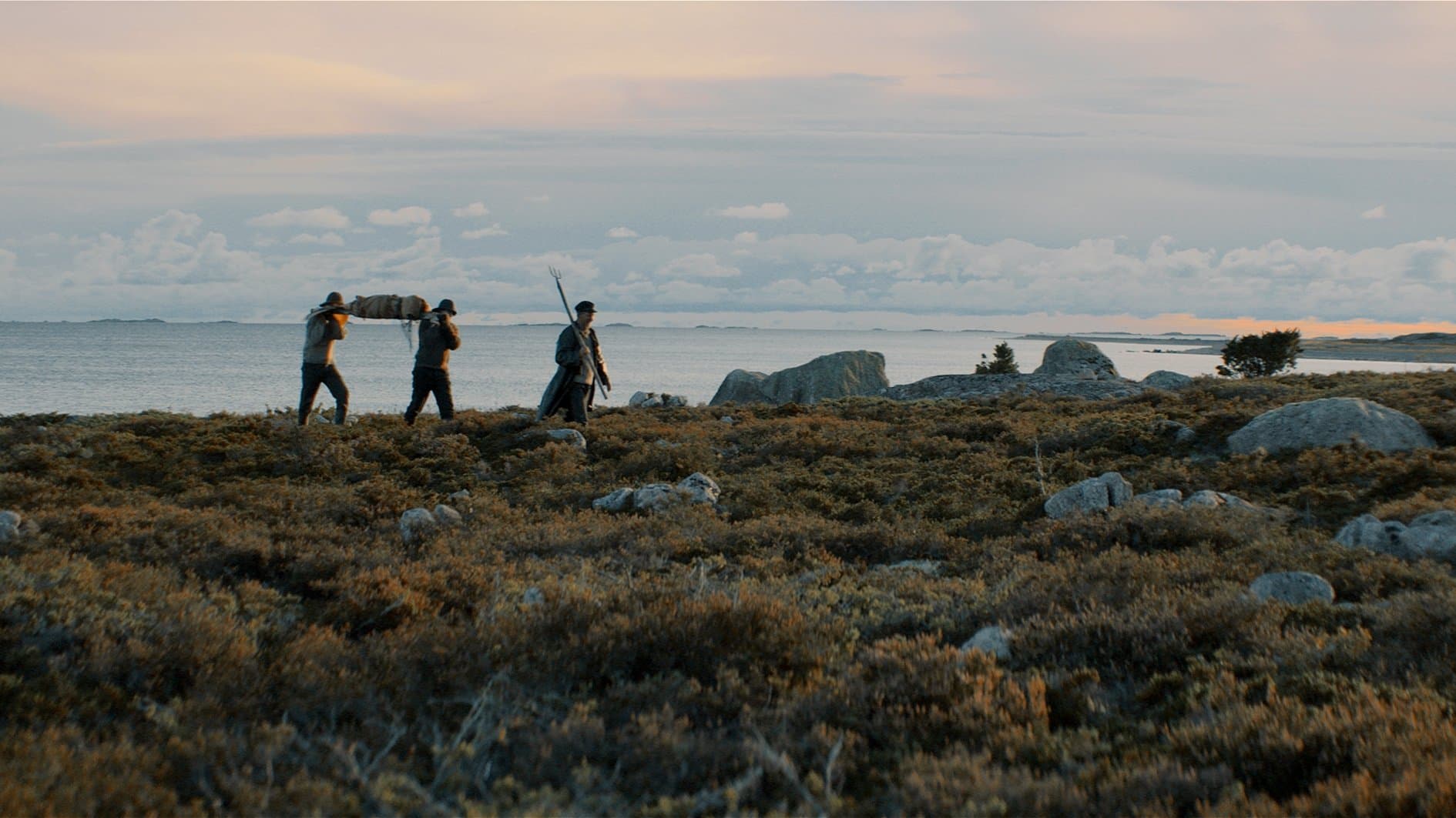 image is not available