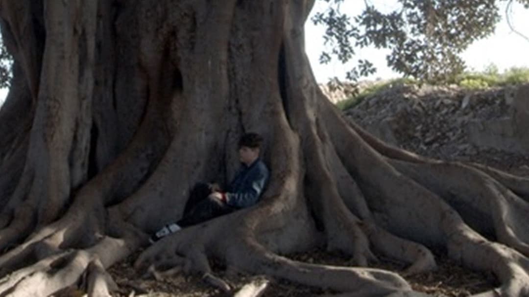 image is not available