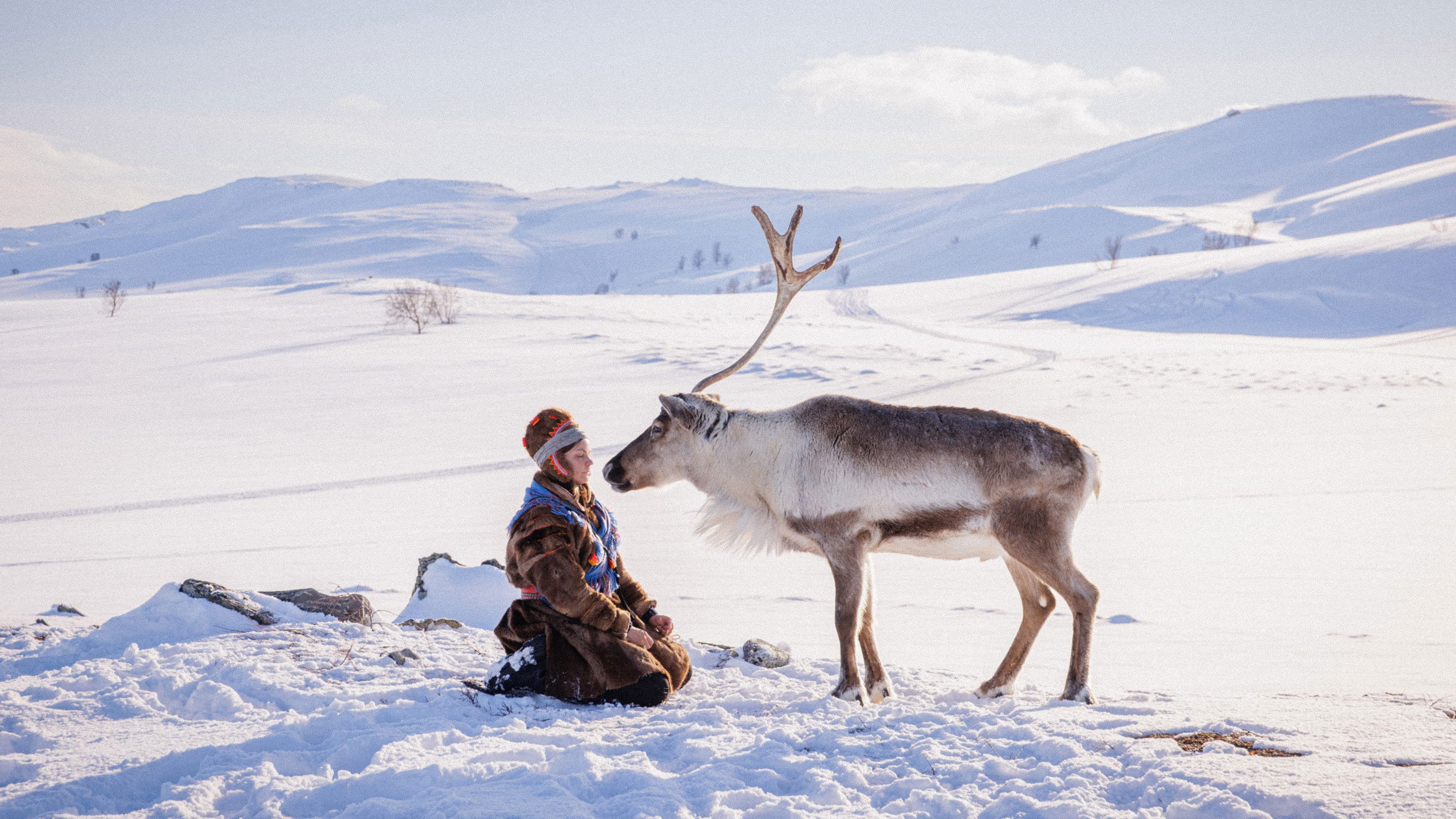 image is not available