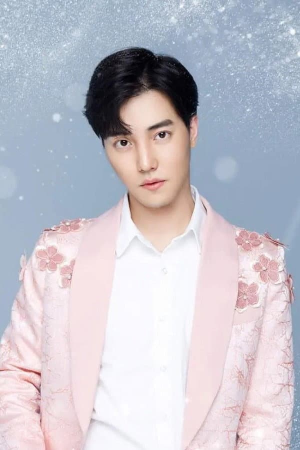 Du Yafei profile