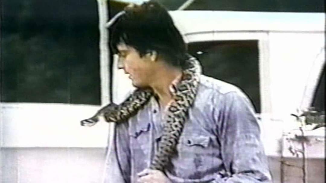 image is not available