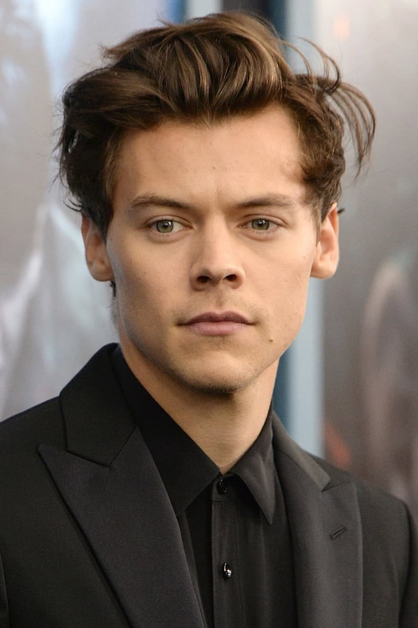 Harry Styles profile