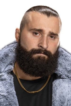 Joe Ariola profile