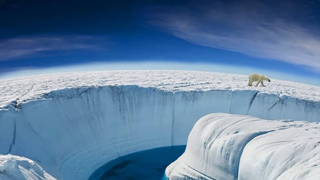 image is not available