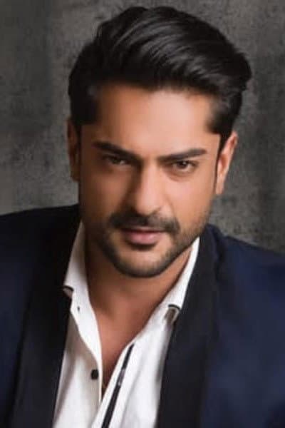 Ashish Kapoor profile