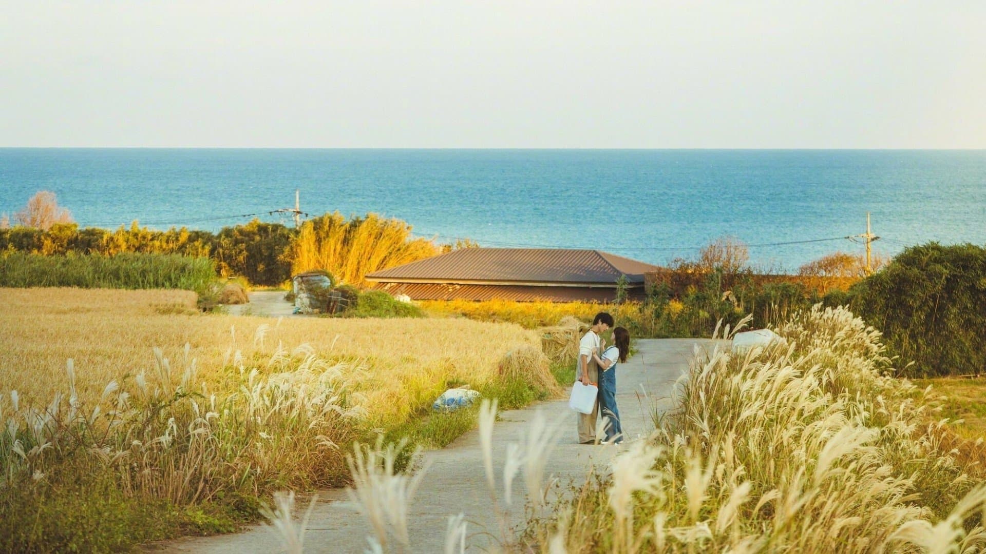 image is not available