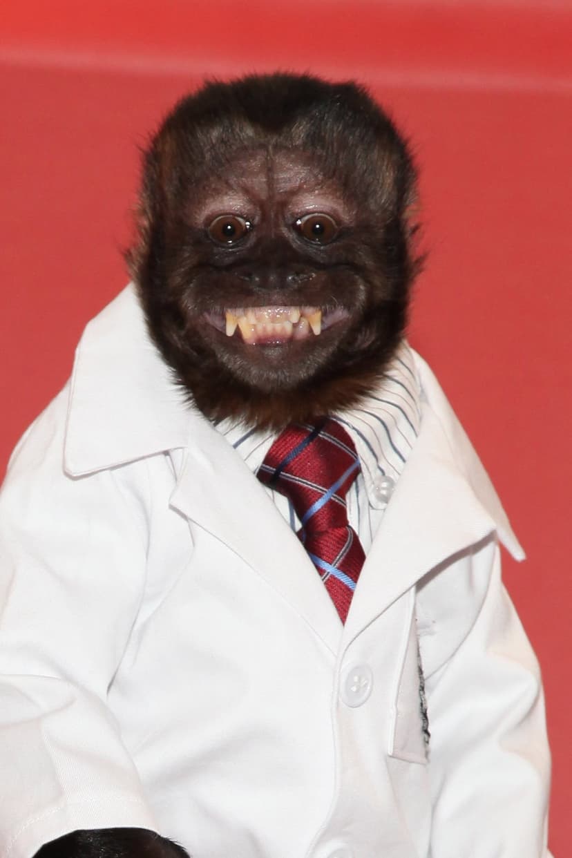 Crystal the Monkey profile