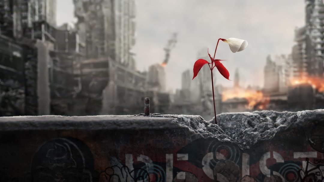 image is not available