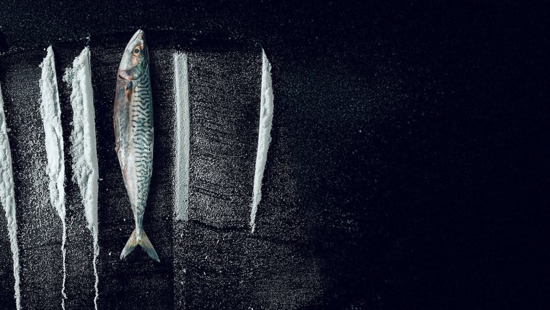 image is not available