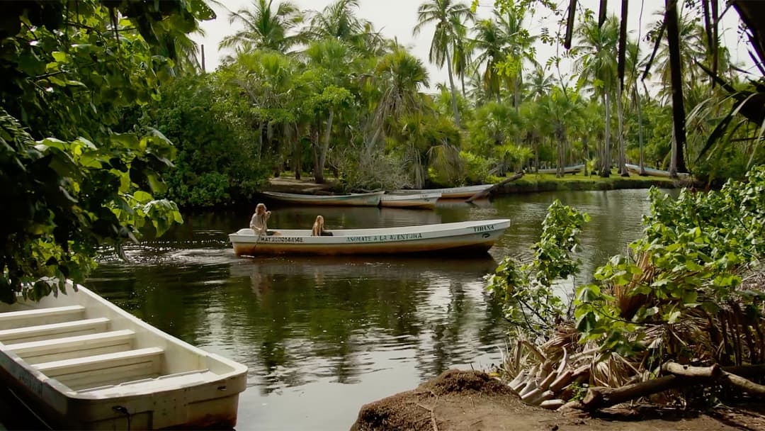 image is not available