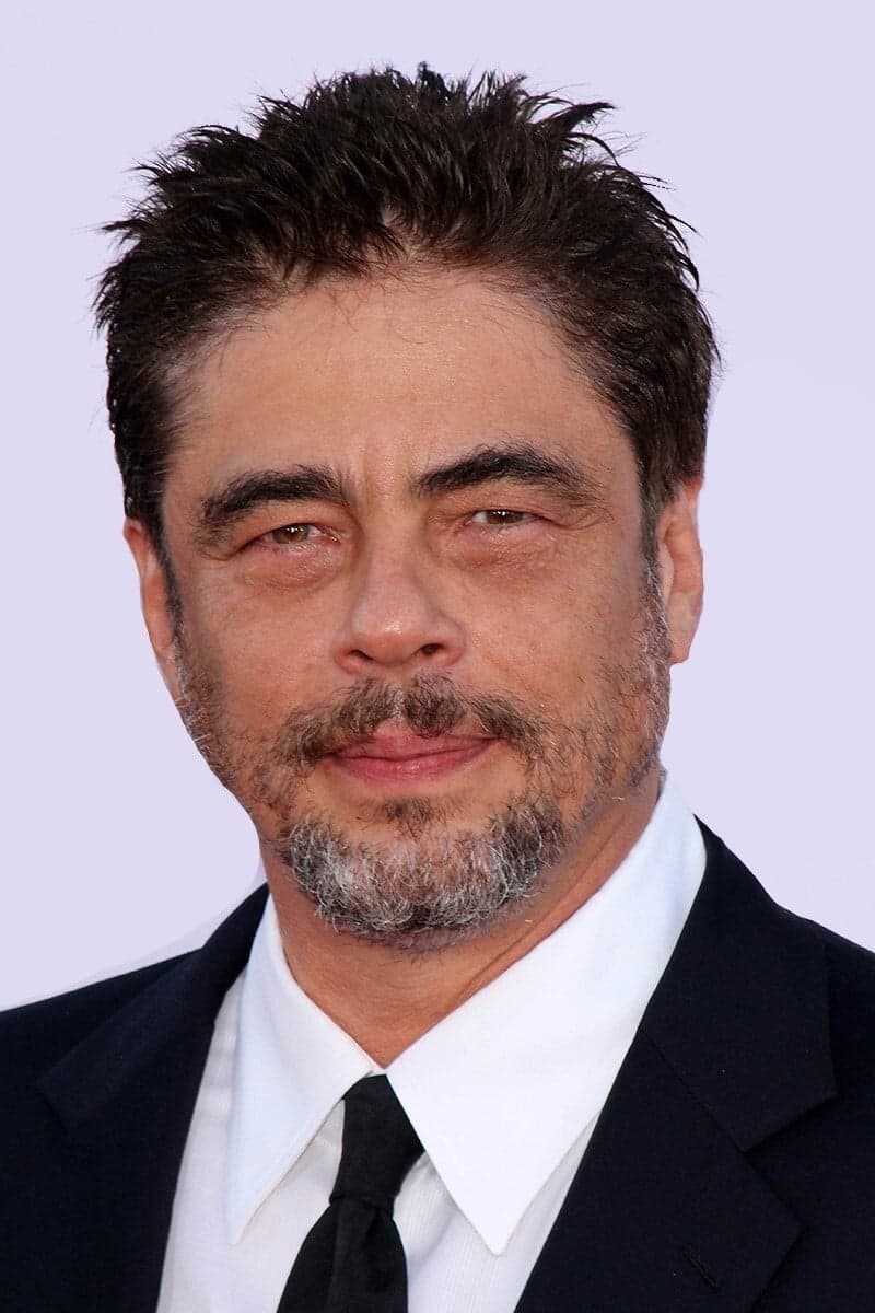 Benicio del Toro profile