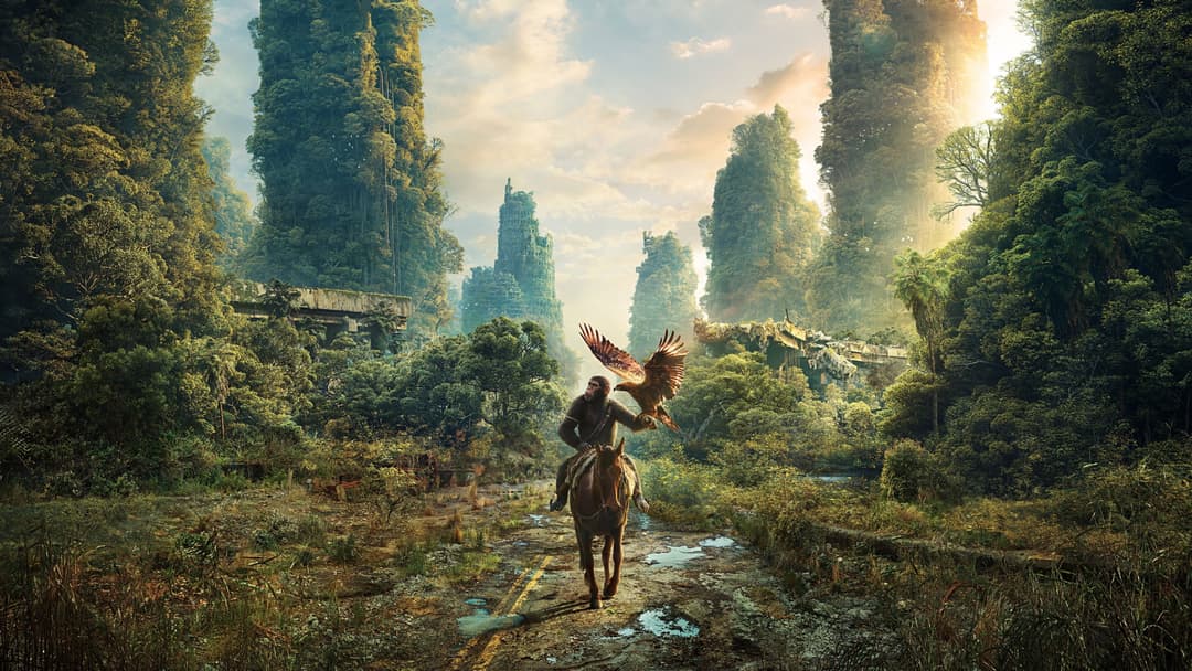 image is not available