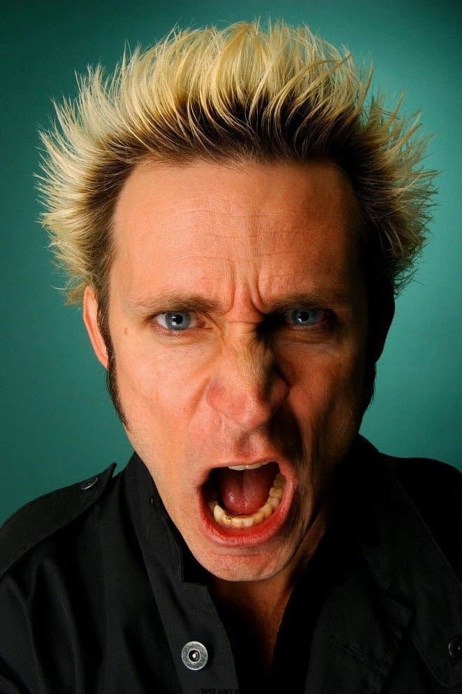 Mike Dirnt profile