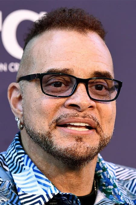 Sinbad profile