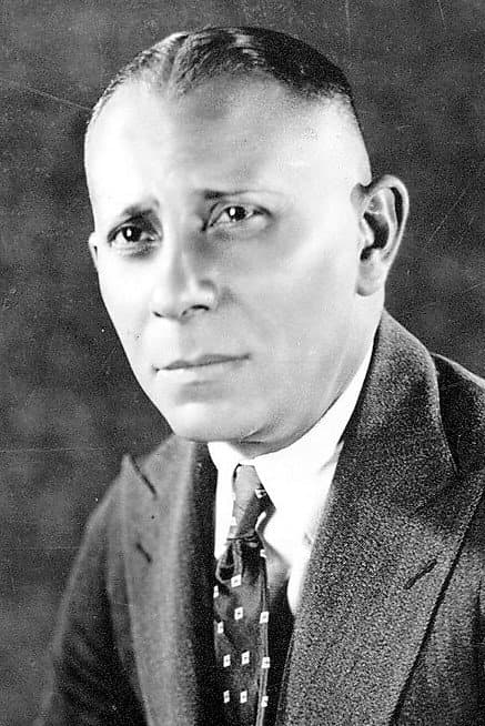 Erich von Stroheim profile