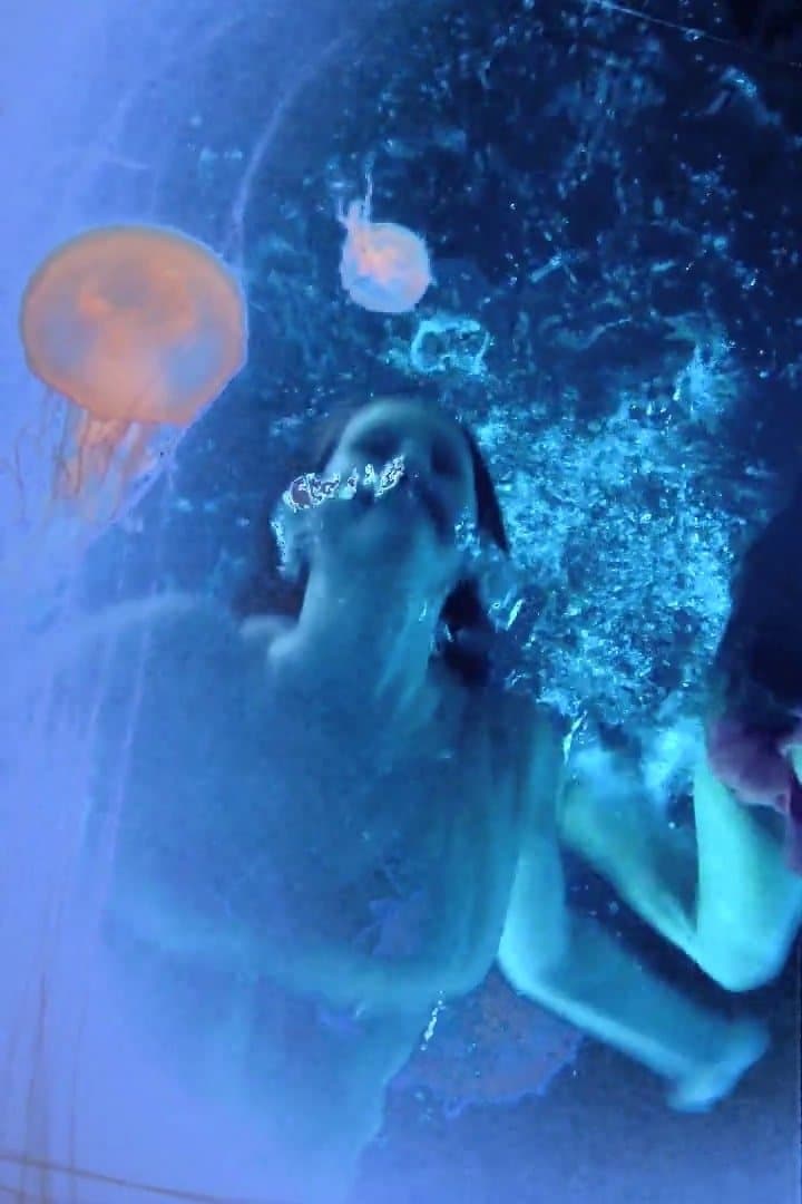 image is not available