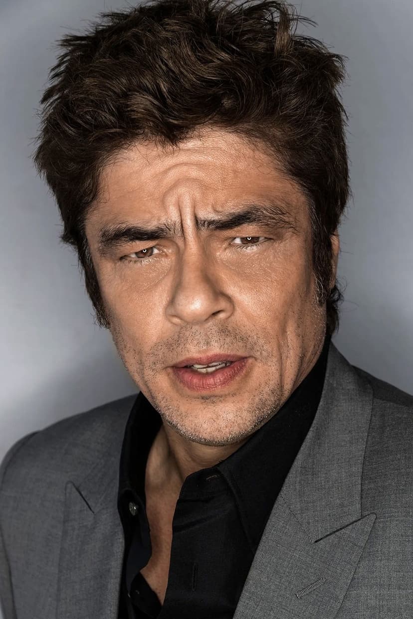 Benicio del Toro profile