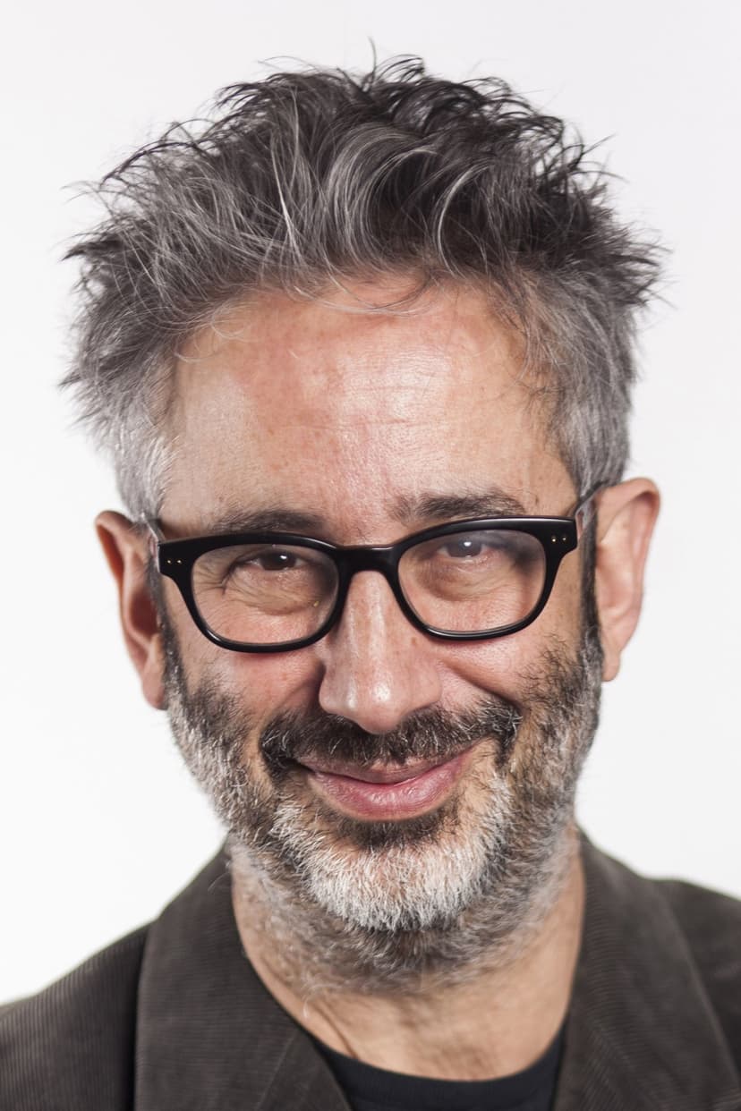 David Baddiel profile