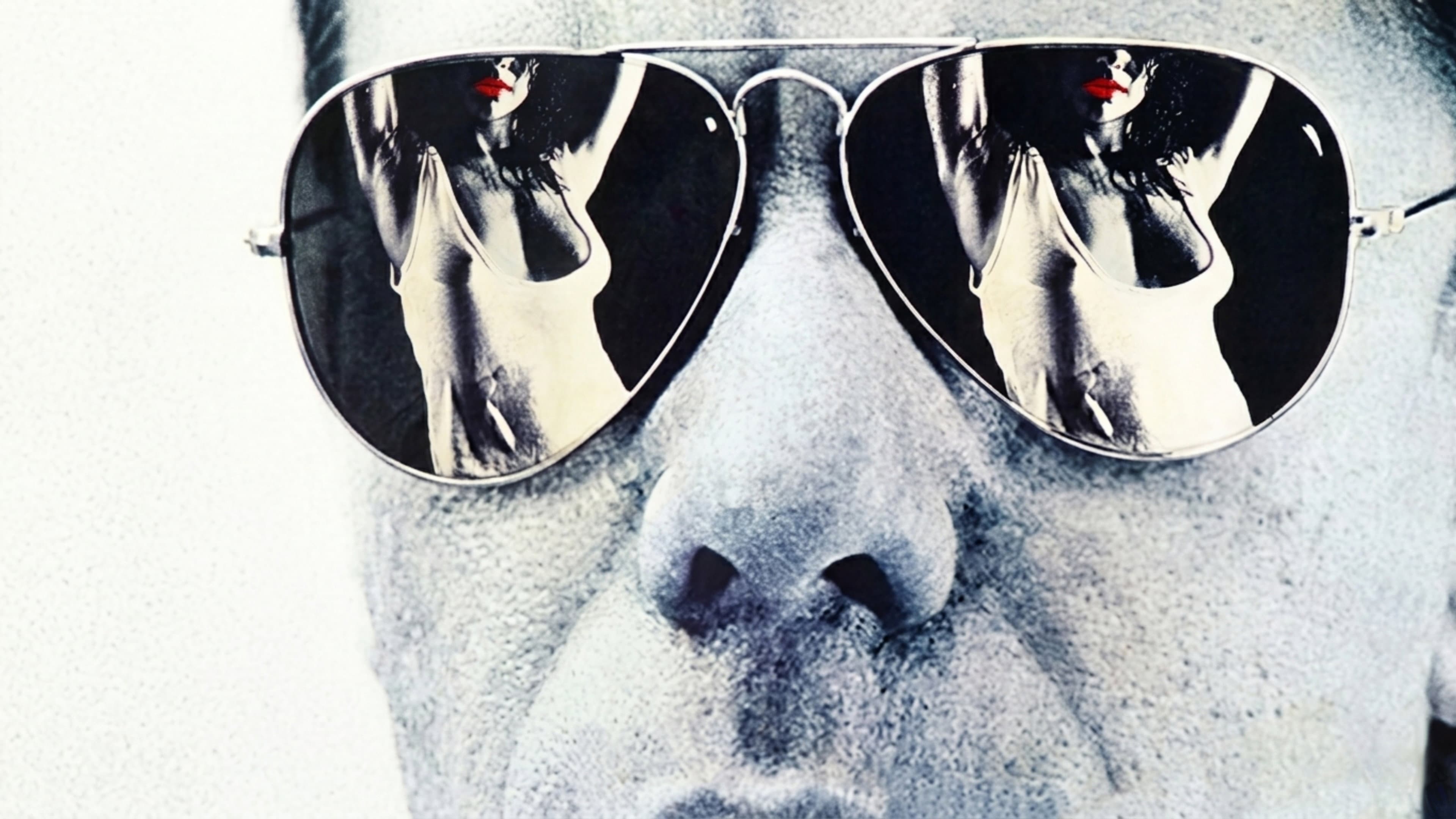 image is not available