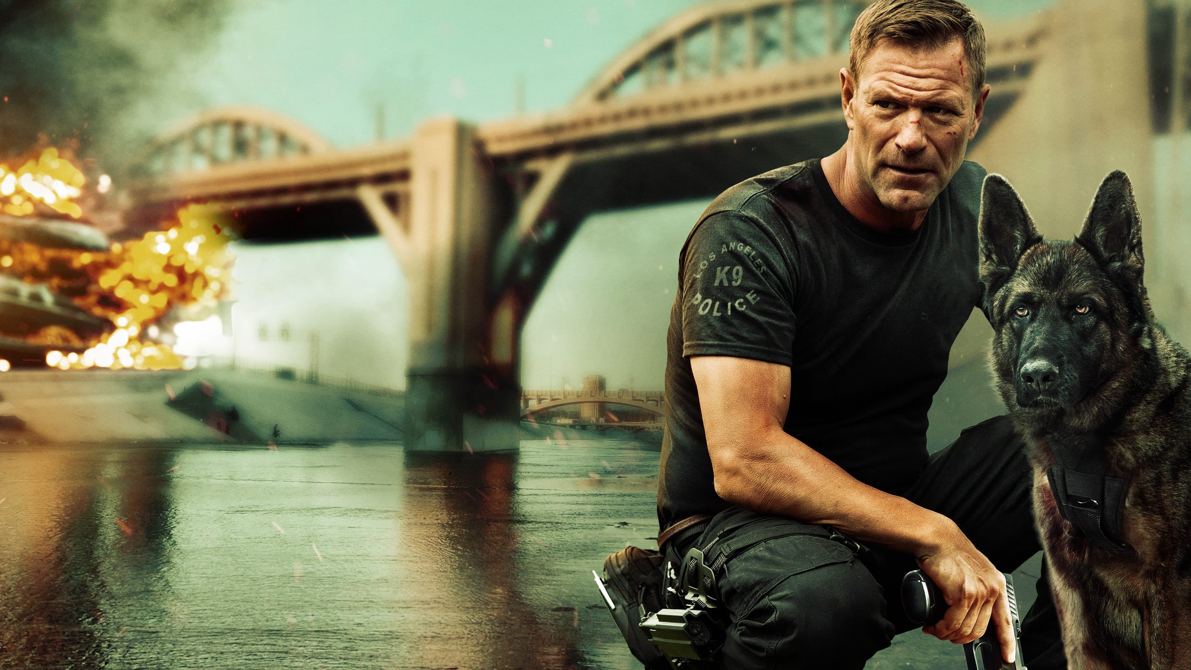 image is not available