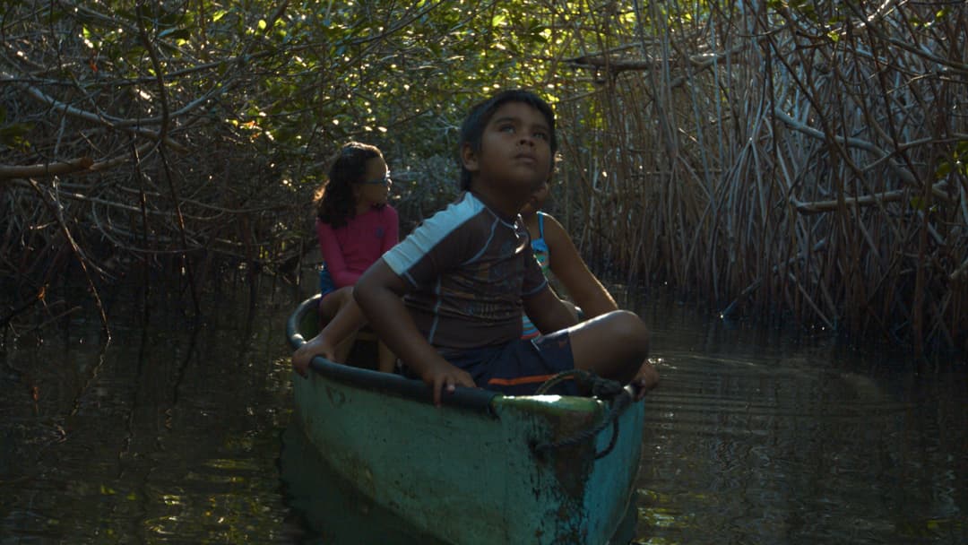 image is not available