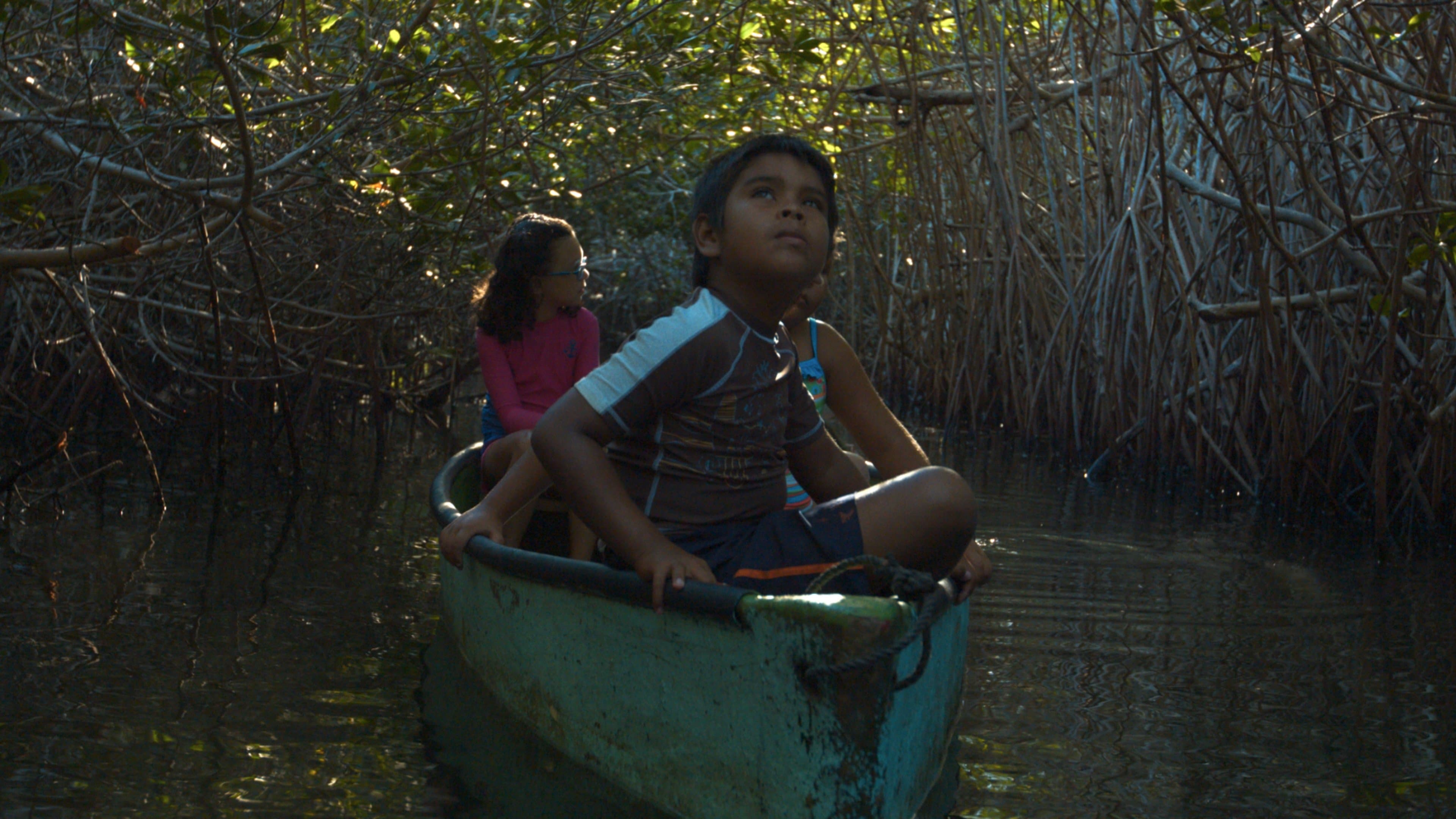 image is not available