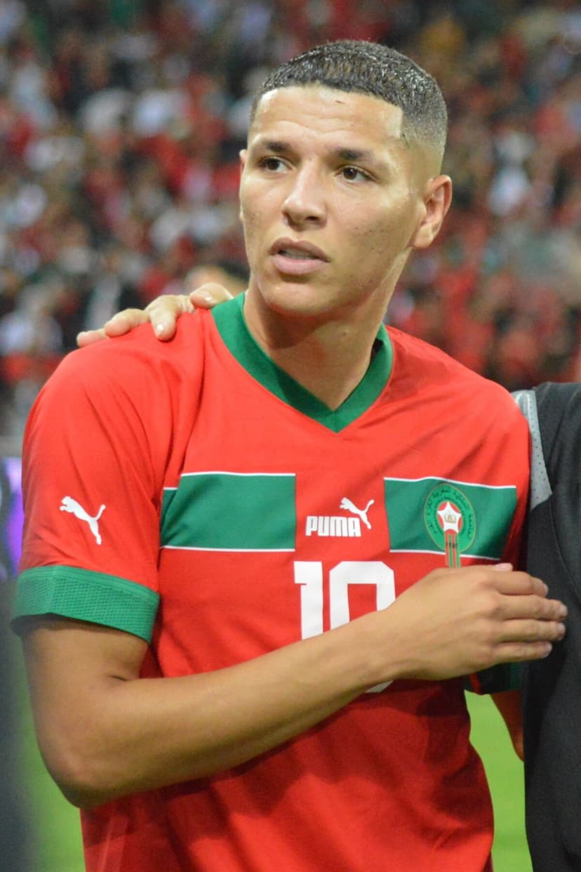 Amine Harit profile