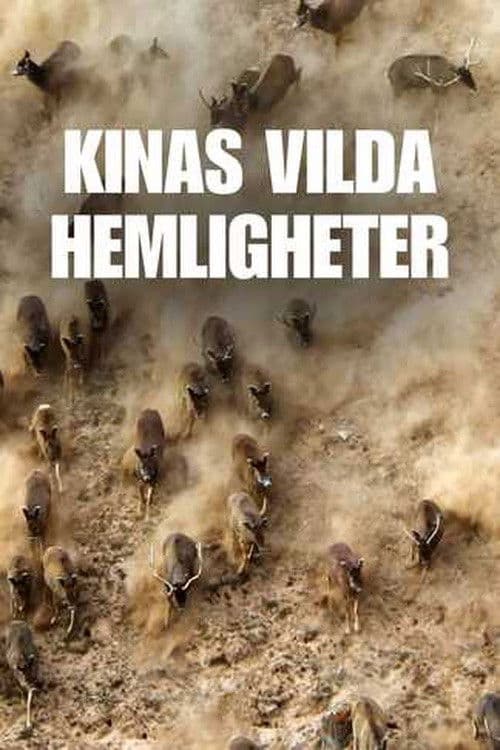 image is not available