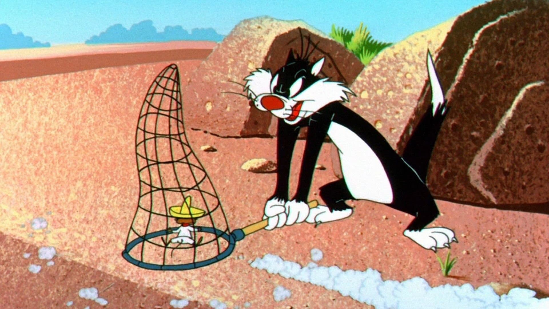 image is not available