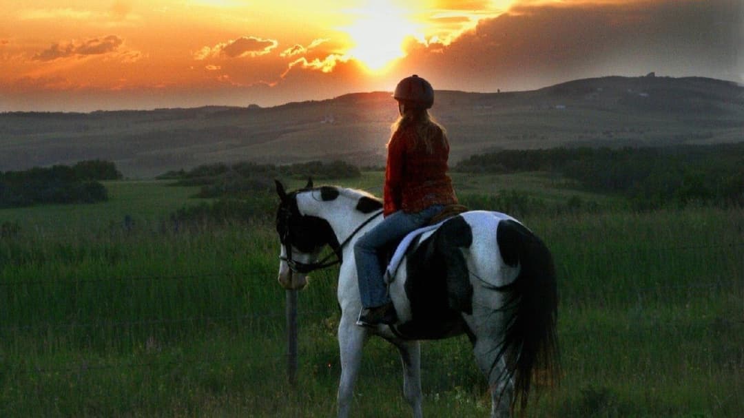 image is not available