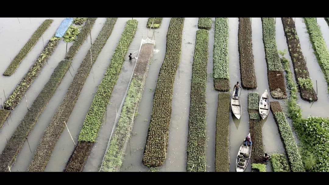 image is not available