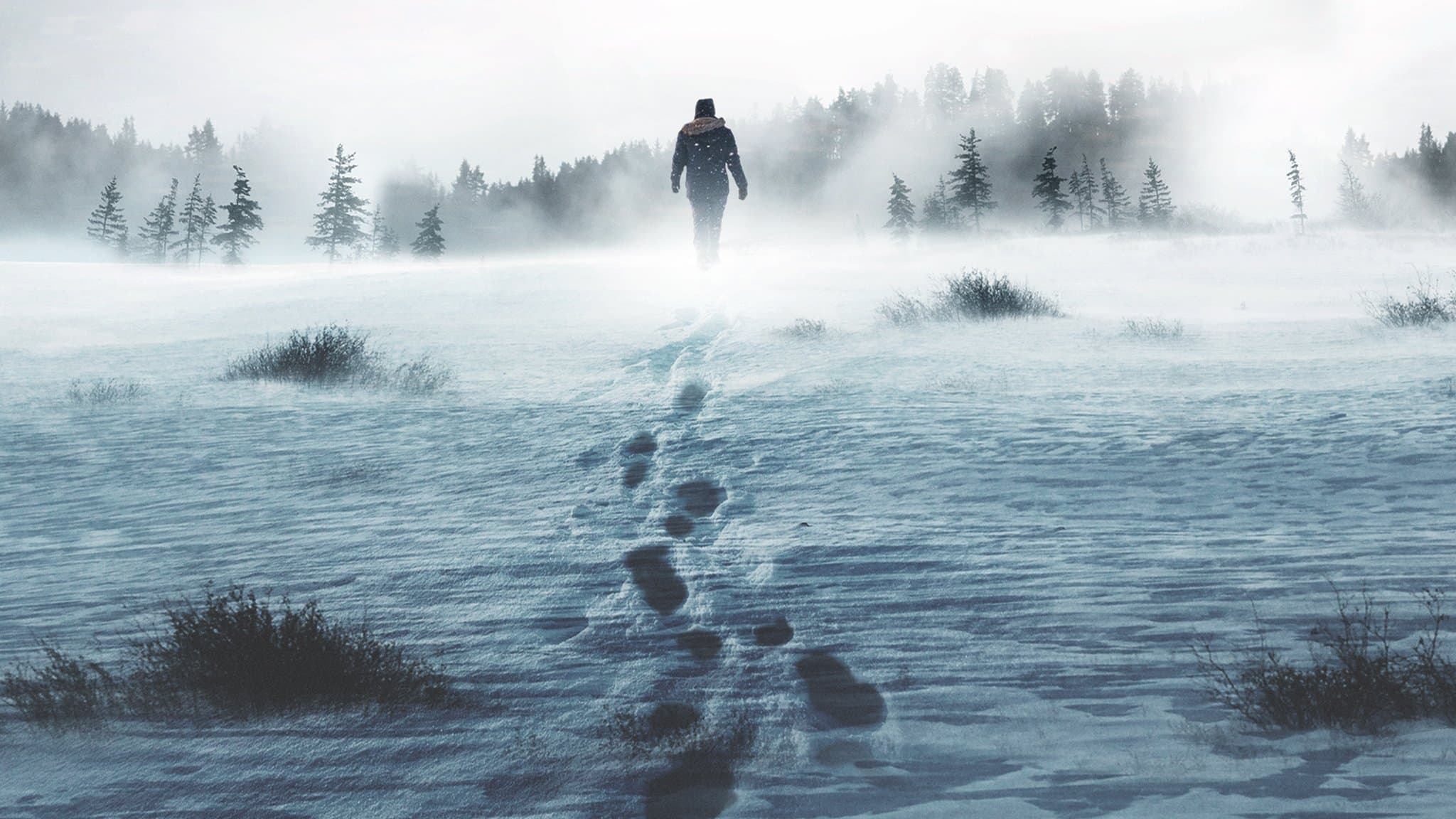 image is not available